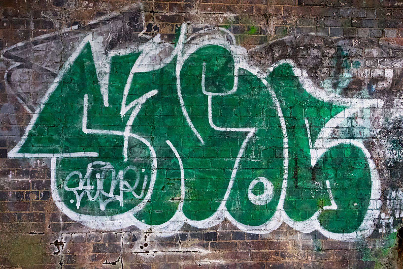 Hoone seinale, sissepääsu kõrvale või prügimaja uksele tekkinud soovimatu graffiti võib rikkuda kogu kinnistu üldmuljet. Esimene mõte on sageli värv võimalikult